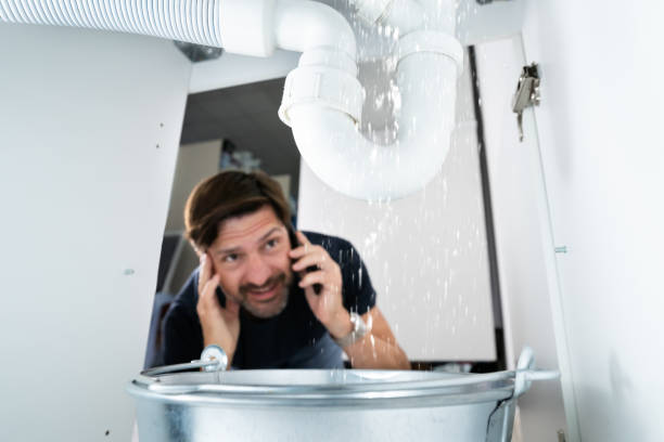 Best Residential Plumbing Services  in Shackle Island, TN
