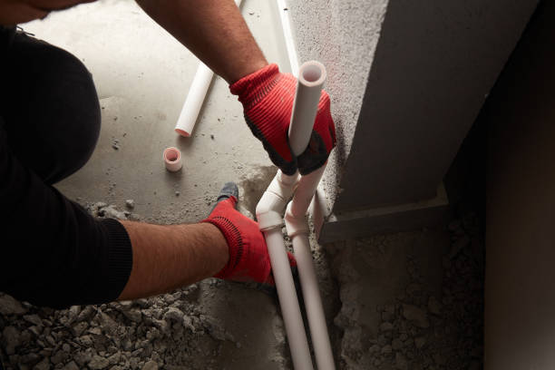 Best Clogged Drain Plumber  in Shackle Island, TN