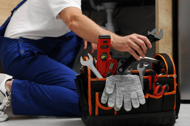 Best Local Plumber Services  in Shackle Island, TN